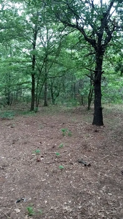 Lake Stanley Draper camp groundsand ATV trails Picture 4