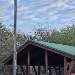 Scissortail Campground