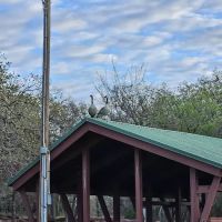 Scissortail Campground ico