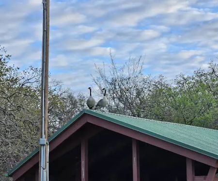 Scissortail Campground