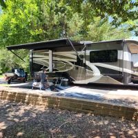 Central State Park ico