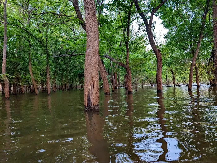 Central State Park Picture 8