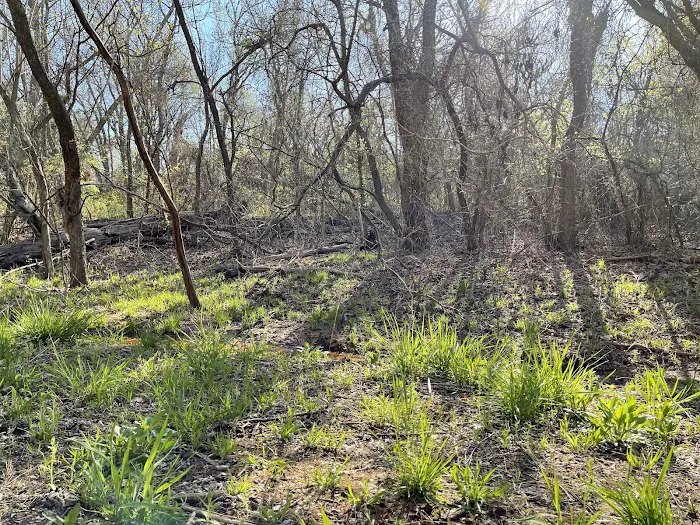 Central State Park Picture 10