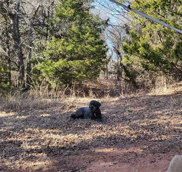 Arcadia Lake Campground Picture 4