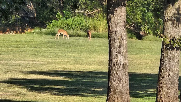 Arcadia Lake Campground Picture 8