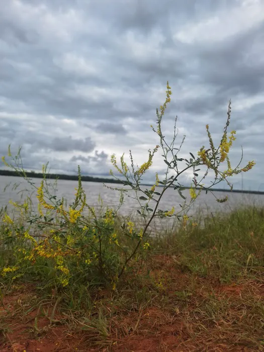 North Sentinel Campground and Boat Launch Picture 10