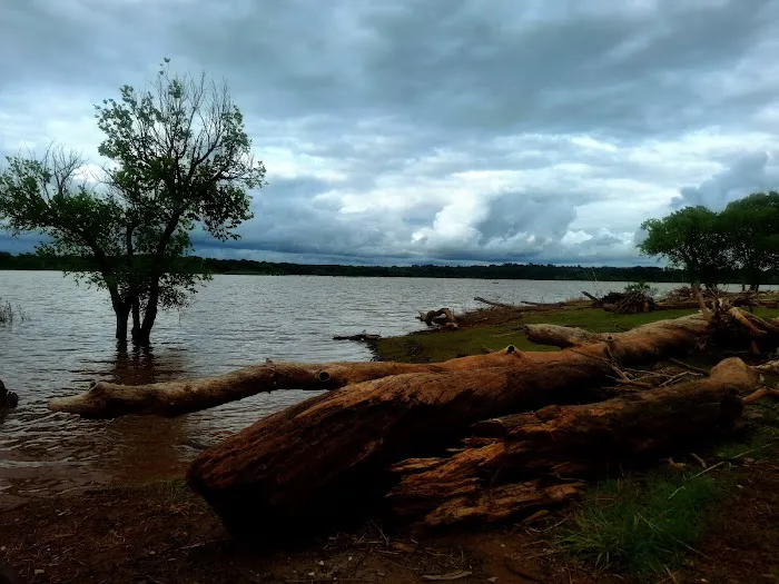North Sentinel Campground and Boat Launch Picture 3
