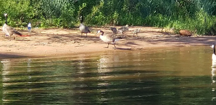 Hog Creek Camp Grounds Picture 7