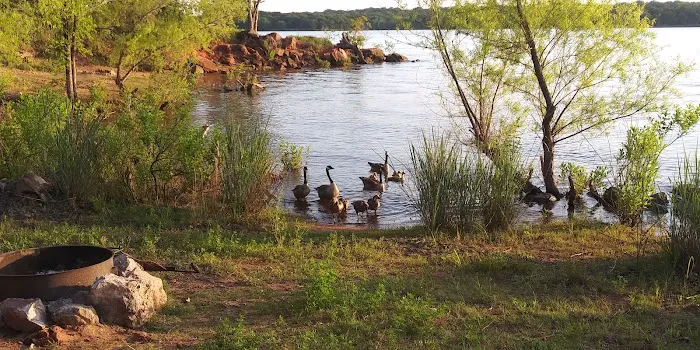 Critter Alley Campground Picture 5