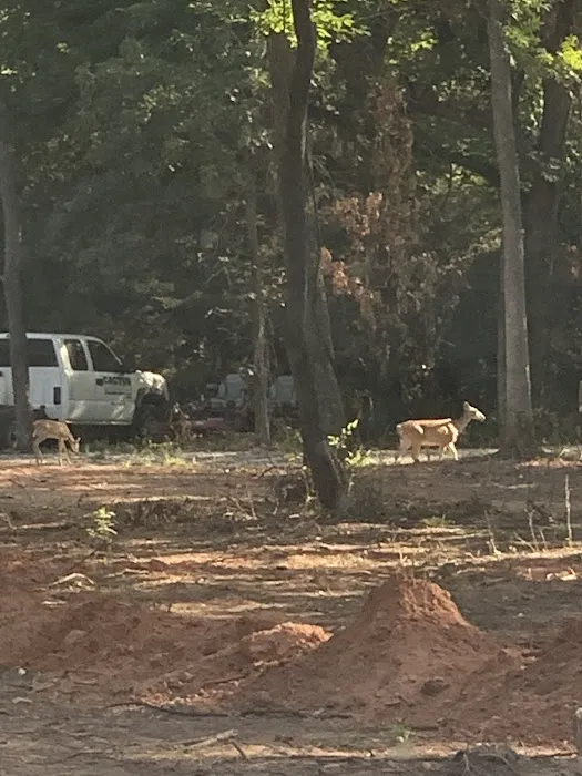 Redtail Campground Picture 1