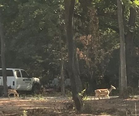 Redtail Campground