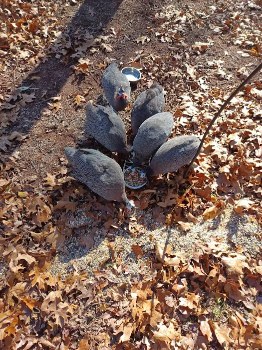 Redtail Campground Picture 5