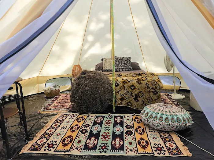 The Sycamore Glampground Picture 1