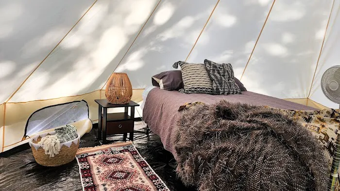 The Sycamore Glampground Picture 2