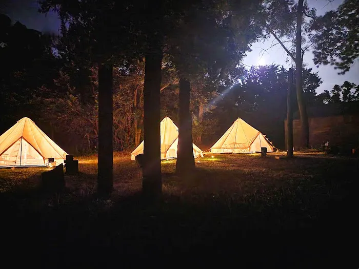 The Sycamore Glampground Picture 8