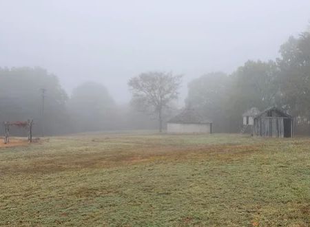 Kullihoma Camp Ground