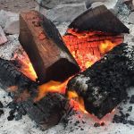 Campfire Firewood: How to Collect and Store It Legally