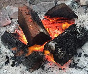 Campfire Firewood: How to Collect and Store It Legally