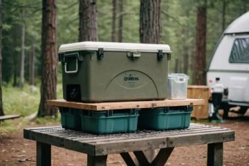 How to Store Food Safely While Camping in Bear Country