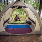 How to Use Natural Materials for Camping Comfort