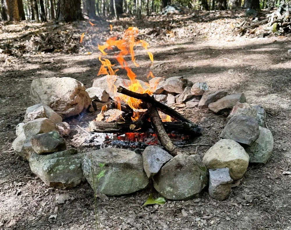 How to Build a Campfire Without Firewood: Smart Survival Tips