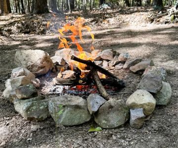 How to Build a Campfire Without Firewood: Smart Survival Tips