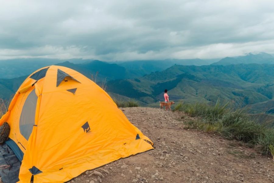 How to Set Up a Tent in Windy Conditions Like a Pro