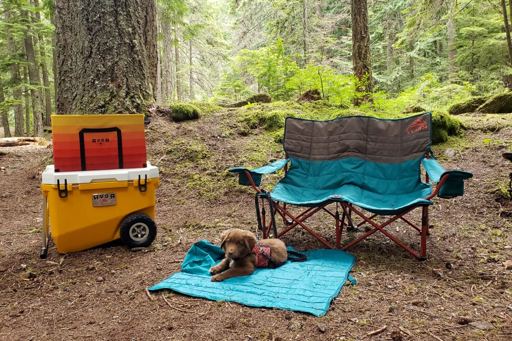 Best Camping Chairs for Comfort and Durability