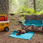 Best Camping Chairs for Comfort and Durability