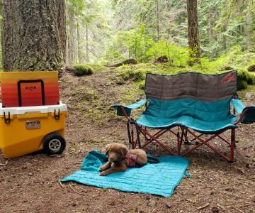 Best Camping Chairs for Comfort and Durability