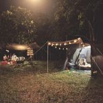 How to Use a Campfire to Boil Water Safely and Efficiently Outdoors