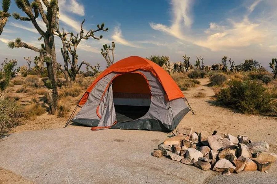 Essential Tips for Camping in Desert Environments Safely and Smartly