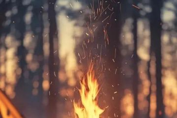 How to Create a Cozy Campfire Atmosphere That Everyone Will Love