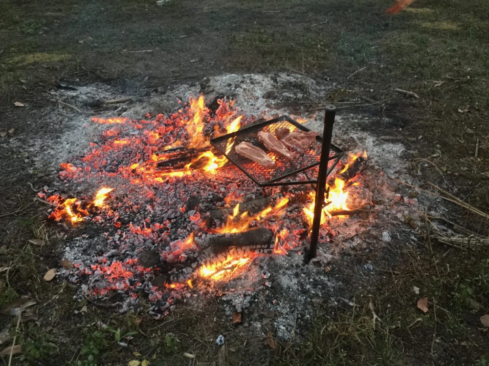 How to Use Campfire Smoke to Preserve Meat Naturally