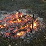 How to Use Campfire Smoke to Preserve Meat Naturally