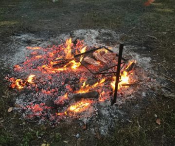 How to Use Campfire Smoke to Preserve Meat Naturally