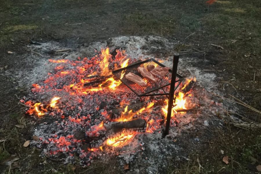 How to Use Campfire Smoke to Preserve Meat Naturally
