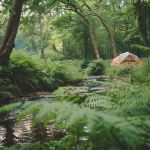 How to Find Hidden Camping Spots Off the Beaten Path
