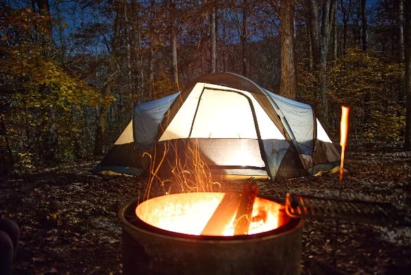 The Impact of Campfire on Wildlife: What You Need to Know