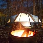 The Impact of Campfire on Wildlife: What You Need to Know