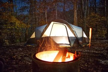 The Impact of Campfire on Wildlife: What You Need to Know