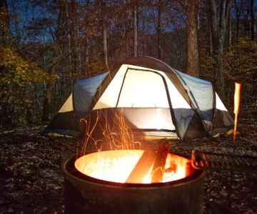 The Impact of Campfire on Wildlife: What You Need to Know