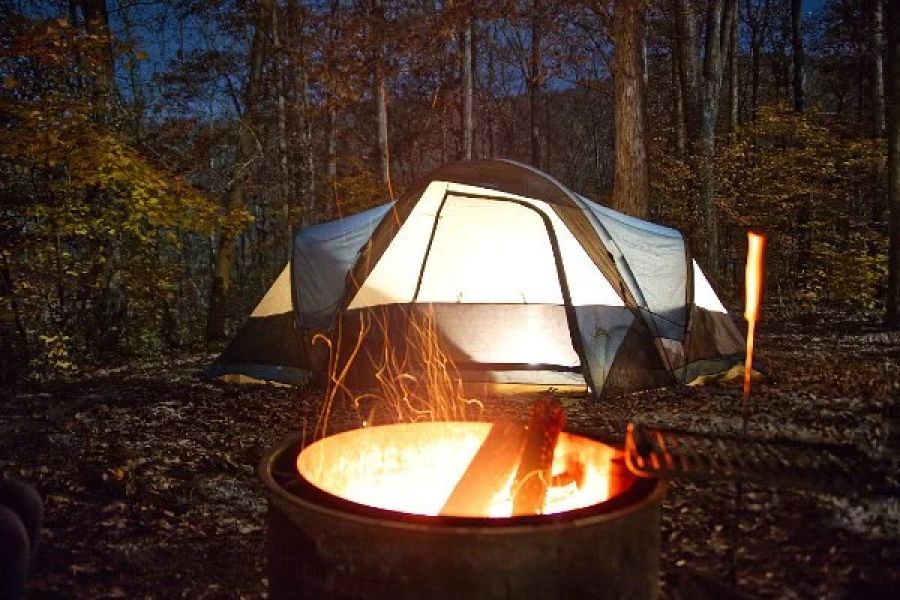 The Impact of Campfire on Wildlife: What You Need to Know