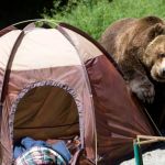 How to Use Campfire Smoke to Keep Bears and Larger Animals Away