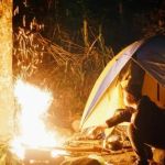 How to Use Campfire Smoke to Protect Your Campsite From Insects