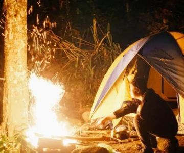 How to Use Campfire Smoke to Protect Your Campsite From Insects