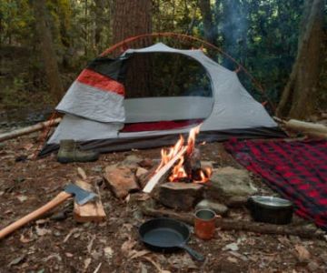 How to Keep Mosquitoes Away from Your Campfire Without Ruining the Mood