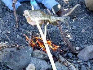 How to Cook Fish Fillets and Skewers Over a Campfire