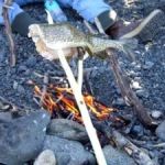 How to Cook Fish Fillets and Skewers Over a Campfire