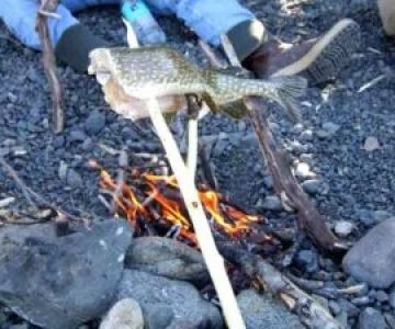 How to Cook Fish Fillets and Skewers Over a Campfire